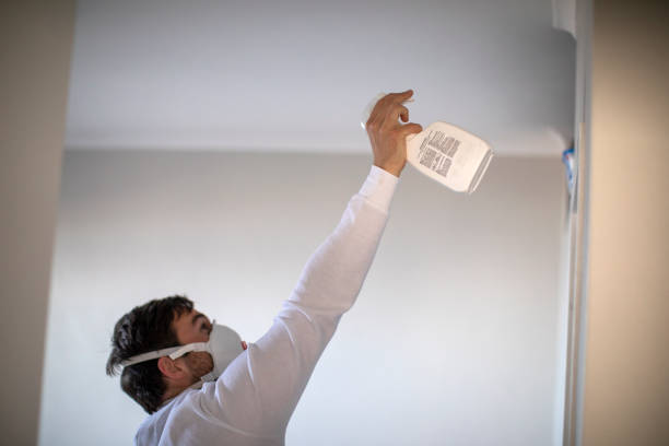 Ball Pond, CT Mold Removal Company
