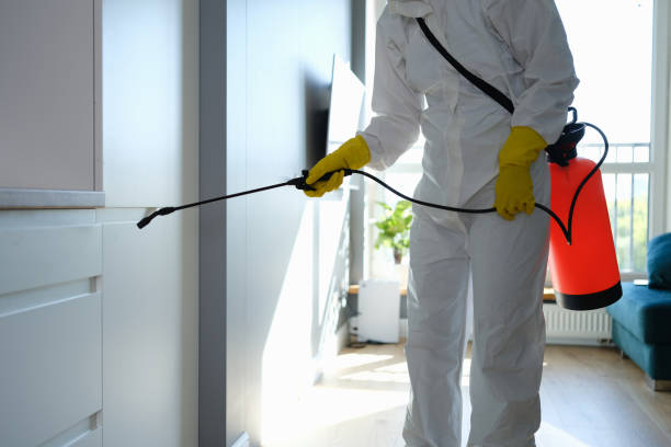 Best Mold Cleaning Services  in Ball Pond, CT