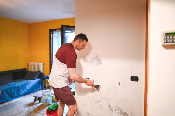 Best Mold Damage Repair  in Ball Pond, CT